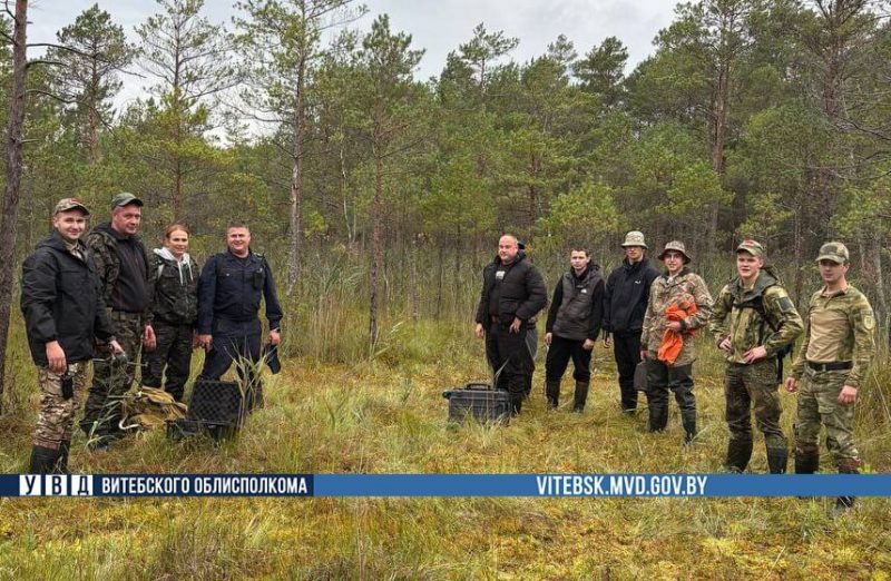 поиски пенсионера